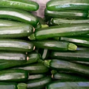 distribuidor-calabacines-2