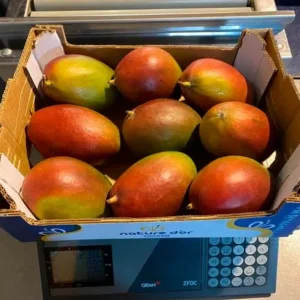 distribuidor-mangos-1.webp