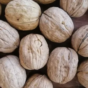 distribuidor-mayorista-nueces-1