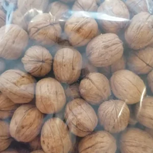 mayorista-nueces-2