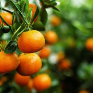 7b89e4bb-d8ac-49cd-8f2d-9a60e882a1e9-0cf3528e-ea4d-4b27-9a13-70ab6197eae4