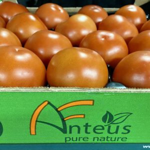 Anteuss Fleisch Tommaten