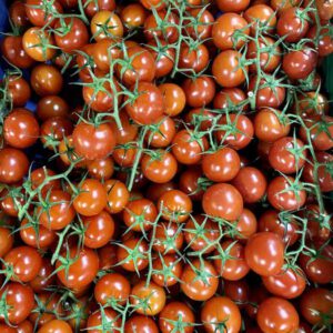 Mini Cherry 7,5 kg