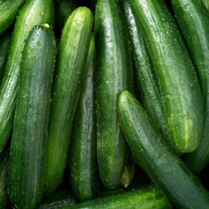 cucumber2-nema